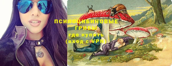 стаф Алзамай