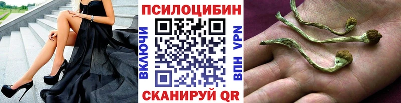 Галлюциногенные грибы мухоморы  блэк спрут ссылки  Тольятти 
